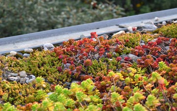 the cost of East Youlstone green roof installation